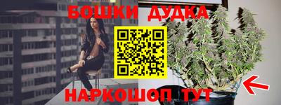 прущие крисы Лесосибирск