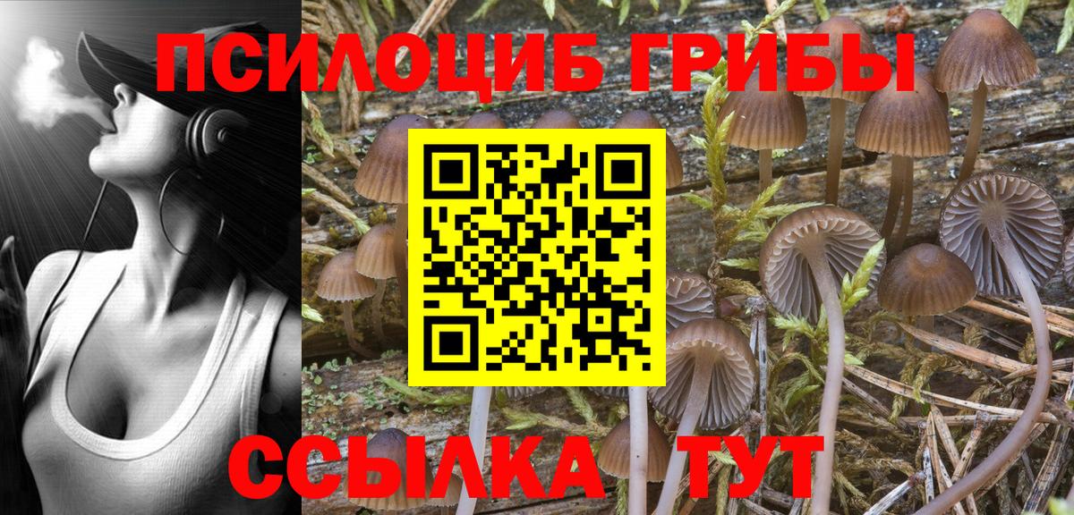 Галлюциногенные грибы мицелий  Псилоцибиновые грибы мицелий  Дзержинск  Вход с VPN 
