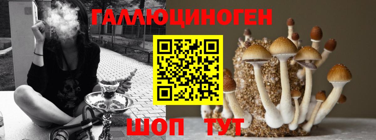 Галлюциногенные грибы мухоморы Дзержинск